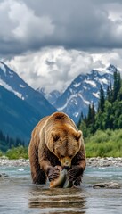 A bear catching fish in a river surrounded by mountains and cloudy skies.