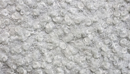 Close up view of white astrakhan karakul. Lamb fur texture. Background for designers.