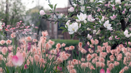 Charming Spring Garden with Blossoming Flowers