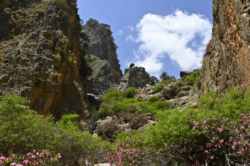 Crete, Greece, mountains, beach, water, sea, holidays, trip, holiday, sun, sky, forest, rocks, trekking, beach, sea, water, rest, vacation, holiday,