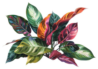Vibrant tropical plant leaves