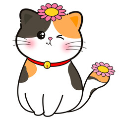 Cat flower