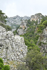 Crete, Greece, mountains, beach, water, sea, holidays, trip, holiday, sun, sky, forest, rocks, trekking, beach, sea, water, rest, vacation, holiday,