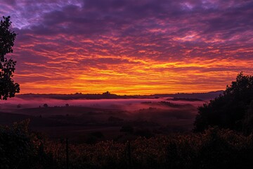 Obraz premium A breathtaking sunrise over the rolling hills of Tuscany, Italy, with a colorful sky and mist in autumn. A peaceful countryside scene with vineyards and trees under an orange and purple sky.
