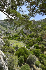 Crete, Greece, mountains, beach, water, sea, holidays, trip, holiday, sun, sky, forest, rocks, trekking, beach, sea, water, rest, vacation, holiday,