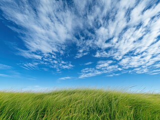 Fototapeta premium A bright blue sky with white clouds above a green grass field, . The background is clean and simple, creating an atmosphere of tranquility and beauty.