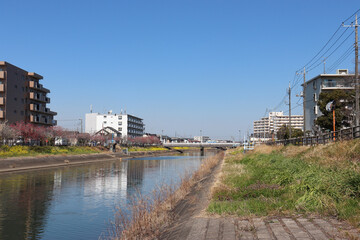 Obraz premium 坂川（千葉県松戸市）