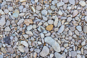 the structure of the rocky bottom in the shallow part of the river flowing in the European part of the planet