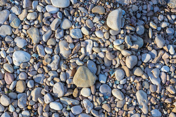 the structure of the rocky bottom in the shallow part of the river flowing in the European part of the planet