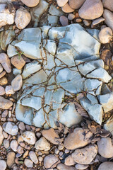 the structure of the rocky bottom in the shallow part of the river flowing in the European part of the planet
