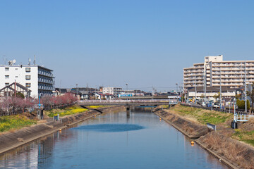 坂川（千葉県松戸市）
