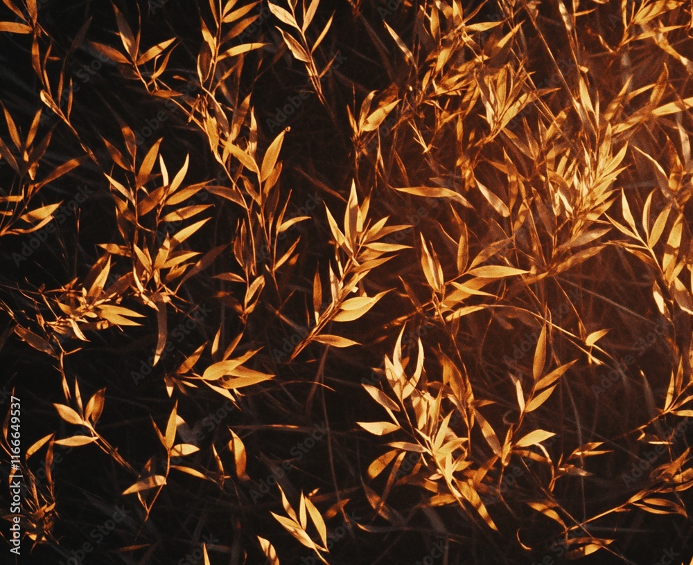 Poster golden autumn leaves illuminated by sunlight, creating a warm and textured background.