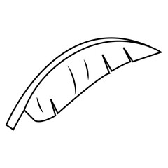 feather logo vector design