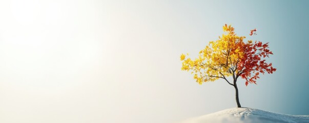 Obraz premium goal of life balance passion concept. A solitary tree with vibrant autumn leaves against a soft, pastel sky evokes tranquility and beauty.