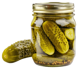 PNG Pickle jar plant food