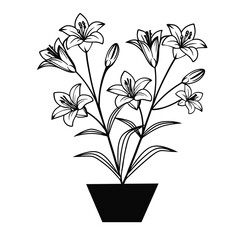 Amaryllis flower outline illustration coloring book page design