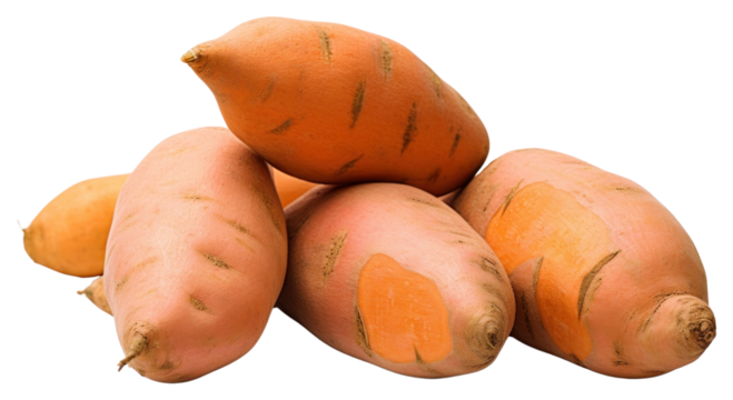 PNG Sweet potato vegetable plant food.