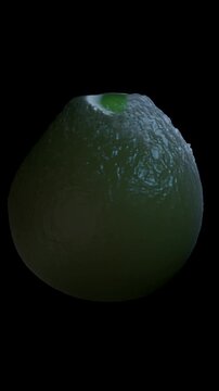 The Silent Threat: A Microscopic Look at Cryptococcus Fungi