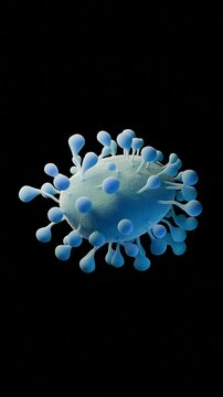 coronaviruses is single-stranded RNA. These viruses are known to cause a range of respiratory illnesses in humans and animals, from mild colds to severe diseases like COVID-19