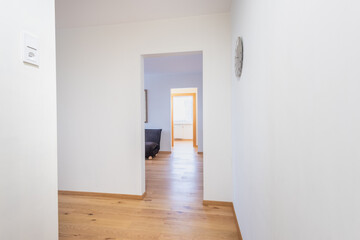 Bright Hallway Leading to a Home Living Room With Wooden Floor and White Walls. Interior