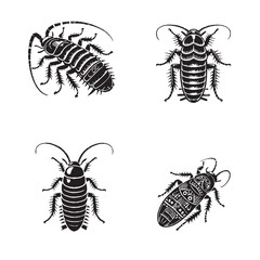 Detailed Silhouette of a Madagascar Hissing Cockroach Isolated on White Background in Monochrome