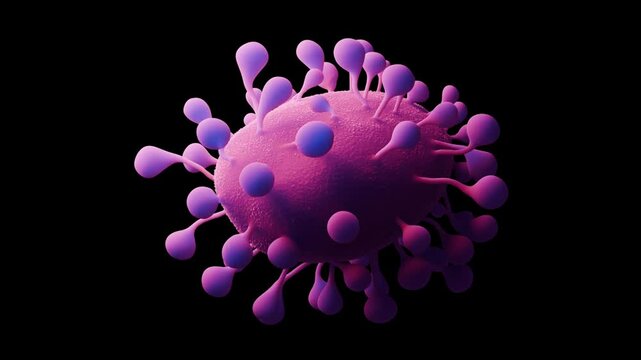 coronaviruses is single-stranded RNA. These viruses are known to cause a range of respiratory illnesses in humans and animals, from mild colds to severe diseases like COVID-19