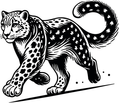 Snow Leopard vector black silhouette cricut design for T-shirt