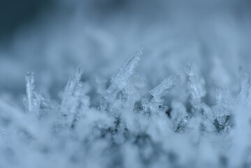 frost on grass
