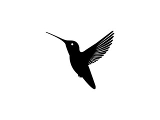 Hummingbird Design Bird Vector Image Or Illustration of a Hummingbird