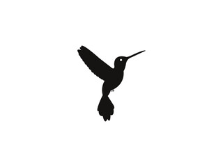 Hummingbird Design Bird Vector Image Or Illustration of a Hummingbird