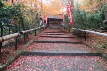 山科聖天の紅葉