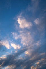 clouds at sunset. blue sky. fluffy cirrus clouds.