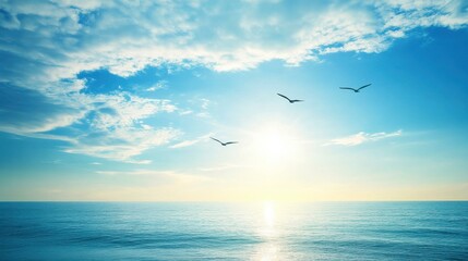 Fototapeta premium Soaring Birds Above the Ocean in Bright Sunlight