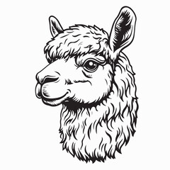 Alpaca Head Vector. Black and white Alpaca Head Vector on white background.