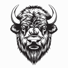 Bison Head Vector Art. Black and white Bison Head Vector image isolated on white Background. © Istianah