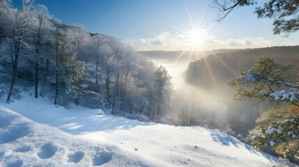 A scenic view of a snow-covered forest with a stream of sunlight breaking through the canopy
