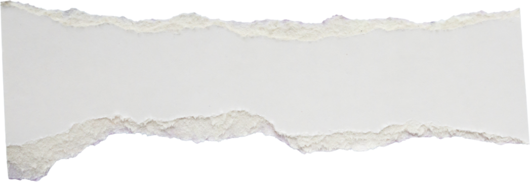 White ripped paper torn edges strips isolated on white background