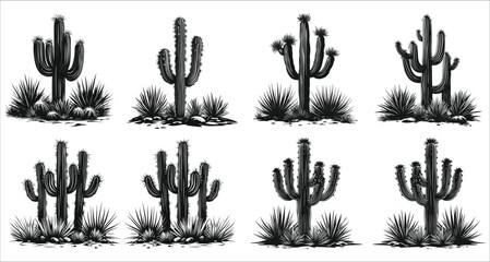 Fototapeta premium Set of different cactus silhouettes in desert, Various desert cactus silhouettes vector collection, Set of desert cactus silhouettes on sunset, Collection of cactus silhouettes in desert landscape