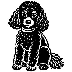 poodle Dog black silhouette vector, Simple silhouette Design vector icon with white background