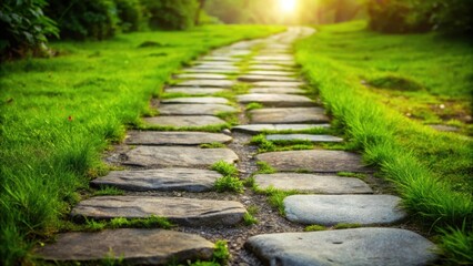 Obraz premium Stone path isolated on background , stone, path, walkway, isolated,garden, landscaping, design, texture, outdoor, nature, background