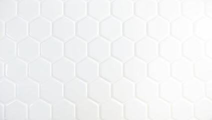 Minimalist White Hexagonal Tile Pattern.