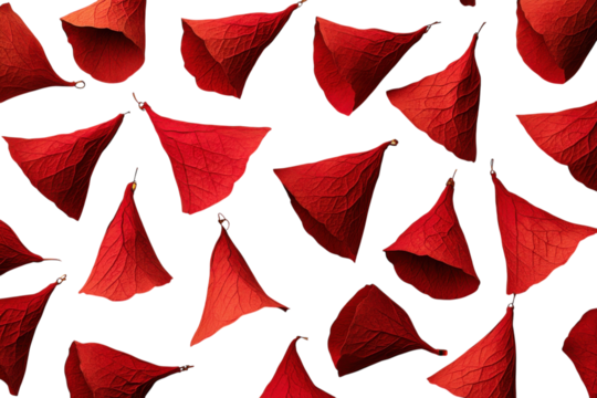 Bright red leaf shapes arranged creatively on a white background showcasing nature's beauty and texture