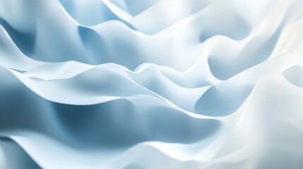 Obraz premium White Flower Close Up