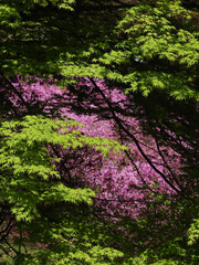 タイムトンネル