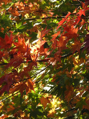 光をも切り裂く