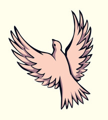 Vector drawing. Cute flying dove