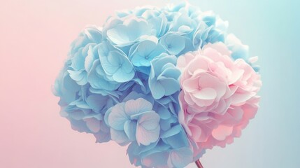 Fototapeta premium A serene bouquet of baby blue hydrangeas and soft pink ranunculus, creating a delicate, calming mood