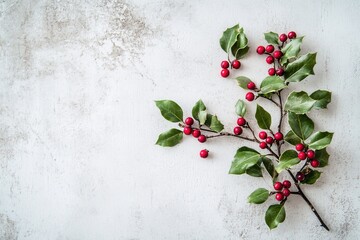 Fresh Green Holly Leaves with Bright Red Berries on Rustic Textured Background
