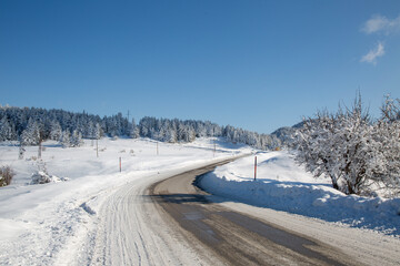 winter chalet and forest view