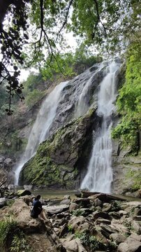waterfall in the mountains./A large waterfall located in the middle of the forest, providing moisture to the trees and visitors.
